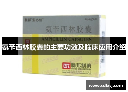 氨苄西林胶囊的主要功效及临床应用介绍