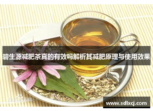 碧生源减肥茶真的有效吗解析其减肥原理与使用效果