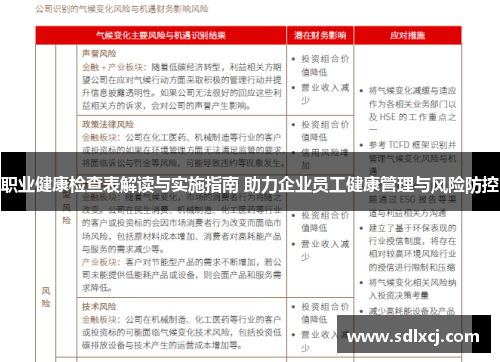 职业健康检查表解读与实施指南 助力企业员工健康管理与风险防控