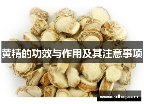 黄精的功效与作用及其注意事项
