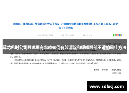 尊龙凯时公司喉咙里有黏痰如何有效清除和缓解喉部不适的最佳方法