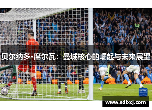 贝尔纳多·席尔瓦：曼城核心的崛起与未来展望